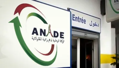 الجزائر تتصدر المرتبة الأولى عالمياً في عدد الأنشطة بالأسبوع العالمي لريادة الأعمال 2025