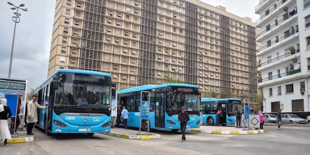 إيتوزا تعلن افتتاح 30 خطا جديدا