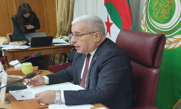 ضرورة تحصين البلدان العربية من تداعيات الصراعات وتعزيز شراكاتها بما يحفظ مصالحها