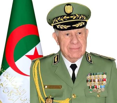 الفريق أول السعيد شنقريحة: الأزمات الأمنية في إفريقيا رهينة لتدخلات وأجندات خارجية