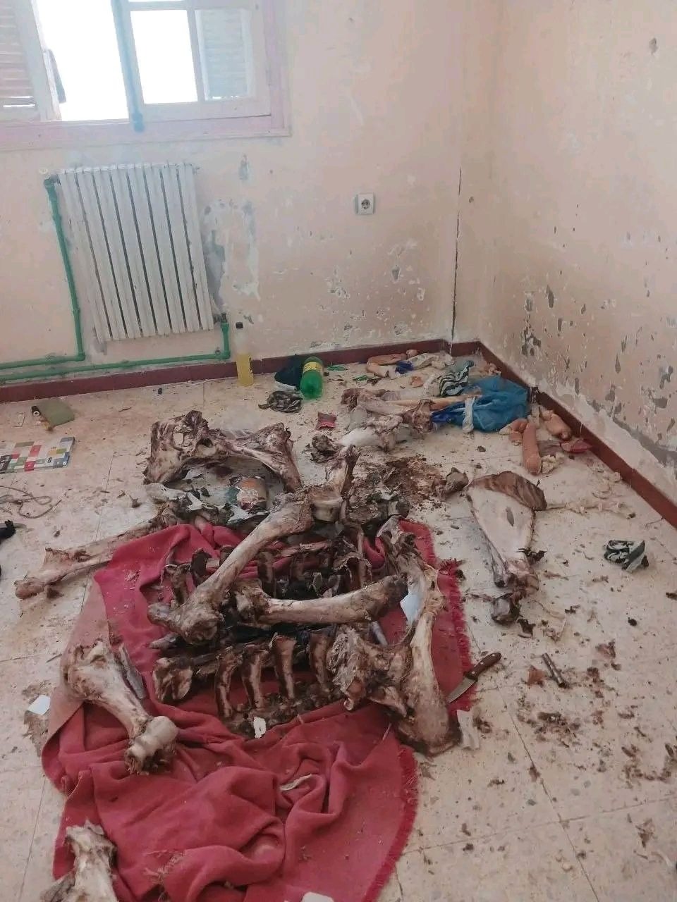 بقايا عظام في غرفة بالإقامة الجامعية بالأغواط !!