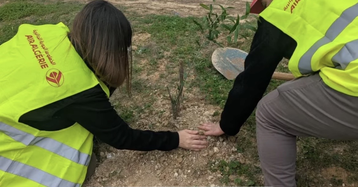 الخطوط الجوية الجزائرية تشارك في الحملة الوطنية الكبرى للتشجير