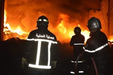موجة الحر تشعل 83 حريقًا عبر عدة ولايات خلال 24 ساعة