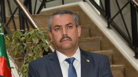 سعداوي: العمل جار لنقل تسيير المؤسسات التربوية في الطور الابتدائي إلى وزارة التربية