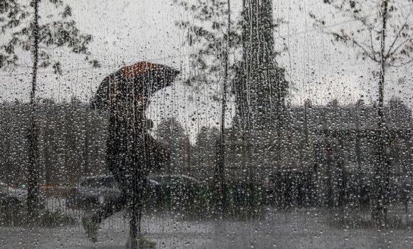 أمطار رعدية على 29 ولاية
