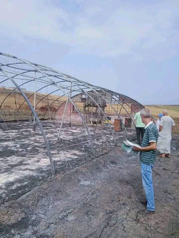 ابتداء من اليوم.. وزارة الفلاحة تشرع في توزيع التعويضات لضحايا الحرائق