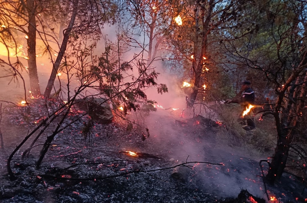 الحماية المدنية:  تسجيل 60 حريقًا في 24 ساعة