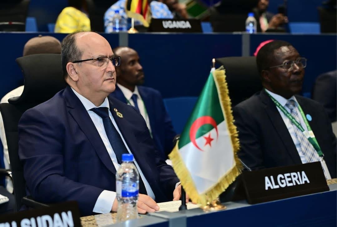الوزير الأول يمثل الجزائر في اجتماع رفيع المستوى للاتحاد الإفريقي حول جنوب السودان