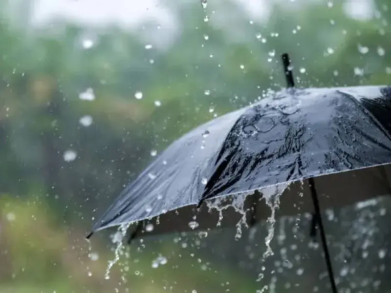 أمطار رعدية ورياح على العديد من ولايات الوطن