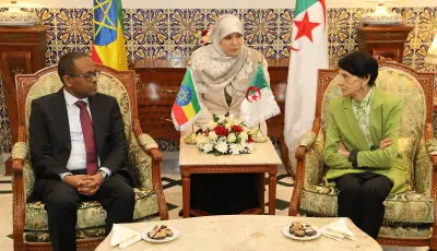 رئيسة المحكمة الدستورية تستقبل رئيس مجلس التحقيق الدستوري الإثيوبي