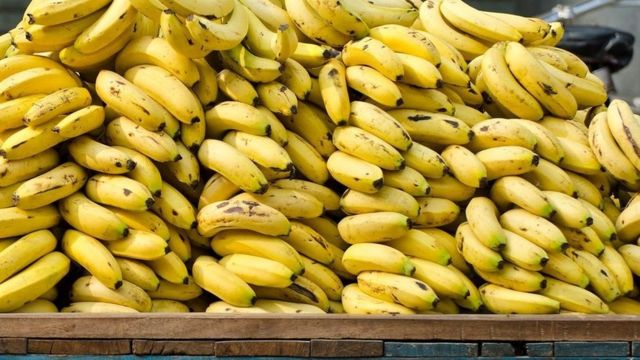 حجز أزيد من 146 قنطار من الموز موجهة للبيع بالجملة بدون تراخيص قانونية في مستغانم