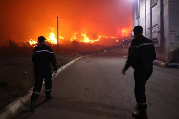 اندلاع 29 حريقًا في 24 ساعة.. آخر مستجدّات حرائق الغابات عبر مختلف ولايات الوطن