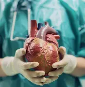 الإنطلاق في عمليات زراعة القلب بالجزائر هذه السنة