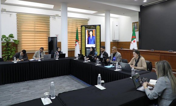 المجلس الأعلى للشباب: انطلاق أشغال اجتماعات اللجان المتخصصة في دورتها الرابعة