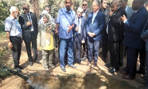 وزير الفلاحة يدعو إلى عصرنة طرق استغلال الأراضي الفلاحية