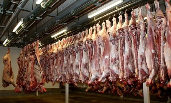 استيراد اللحوم إجراء ظرفي لحماية الثروة الحيوانية وضمان تموين عادي للسوق