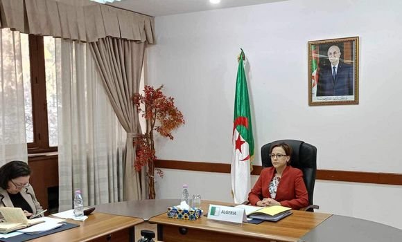 وزيرة التضامن تشارك في إجتماع الوزراء المكلفين بشؤون المرأة للدول الأعضاء بالإتحاد الإفريقي