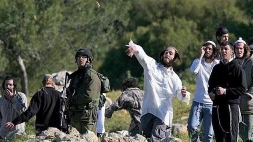 فلسطين: مستوطنون صهاينة ينكلون بمواطنين في الخليل