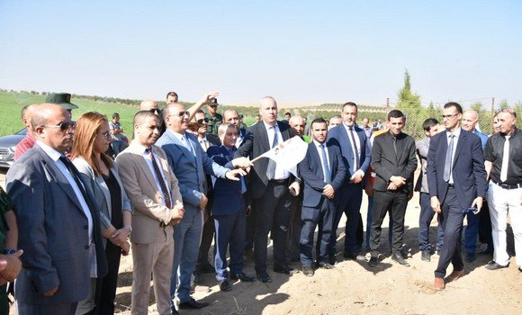 البحث والتكوين والإرشاد الفلاحي خيار استراتيجي لتنفيذ السياسة الفلاحية والريفية