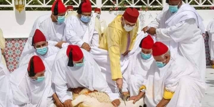 محمد السادس يمنع المغاربة من ذبح أضاحي العيد