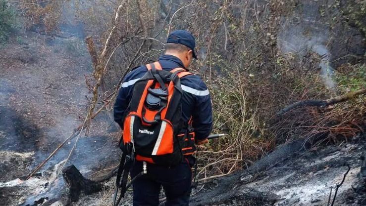 إخماد 25 حريقا عبر عدة ولايات خلال 24 ساعة الاخيرة