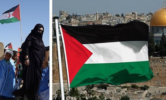 الذكرى ال75 للإعلان العالمي لحقوق الإنسان: حقوق الشعبين الفلسطيني والصحراوي تحت وطأة الانتهاكات والخروقات
