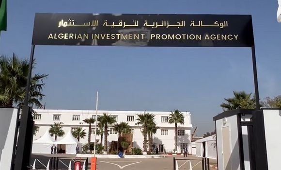 إطلاق المنصة الرقمية قبل نهاية مارس 2024