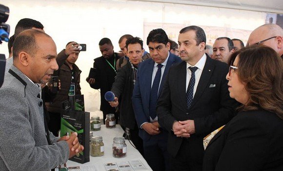 التحضيرات لإنعقاد قمة منتدى البلدان المصدر للغاز متواصلة “بشكل عادي”