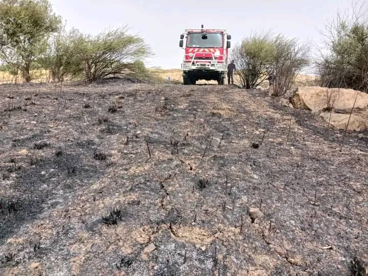 تيزي وزو/ نشوب حريق مهول بغابة أيث خليفة بواضية