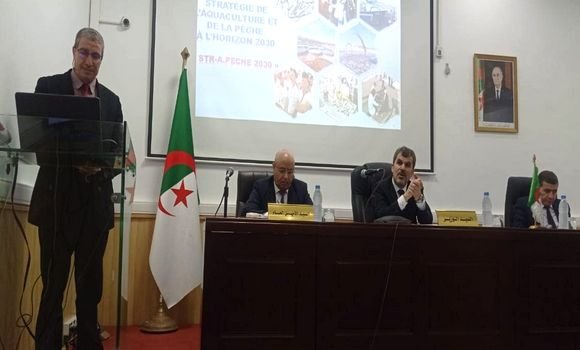 صيد بحري وتربية المائيات: عرض الاستراتيجية الجديدة للقطاع في آفاق 2030