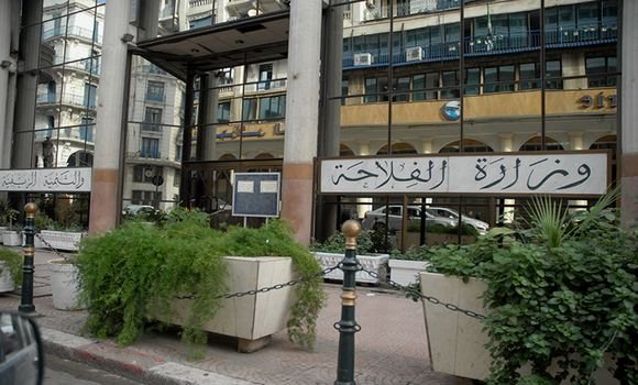 فلاحة: فتح وعاء عقاري جديد موجه للمستثمرين في الزراعات الاستراتيجية في الجنوب