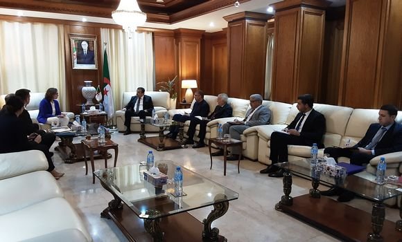 السيد عرقاب يستقبل الرئيسة المديرة العامة للشركة الإيطالية “زهيرو”