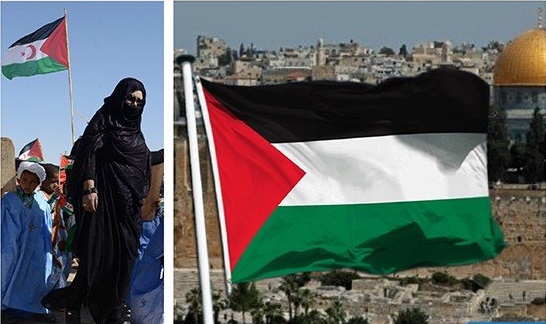 جنوب إفريقيا تؤكد مواصلة دعمها للشعبين الفلسطيني والصحراوي في كفاحهما ضد الاستعمار