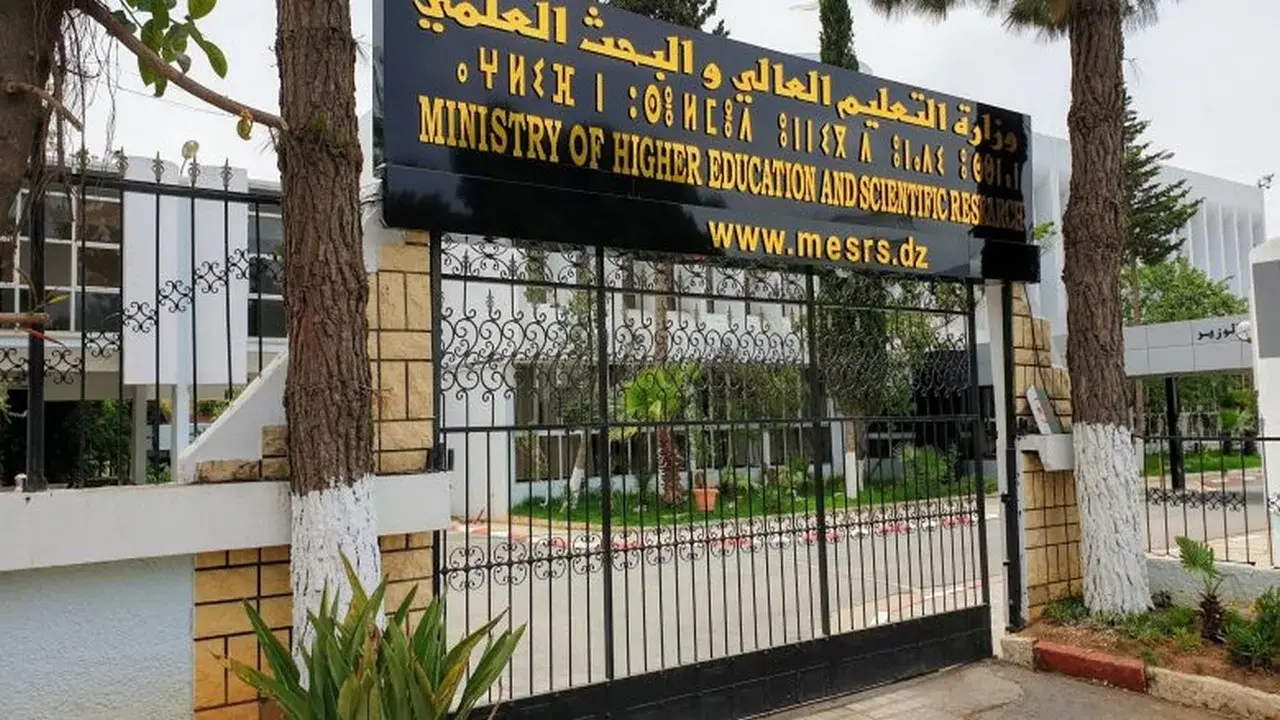 تصنيف «تايمز» 2027.. الجزائر تتقدم مغاربيا في ترتيب الجامعات العالمية