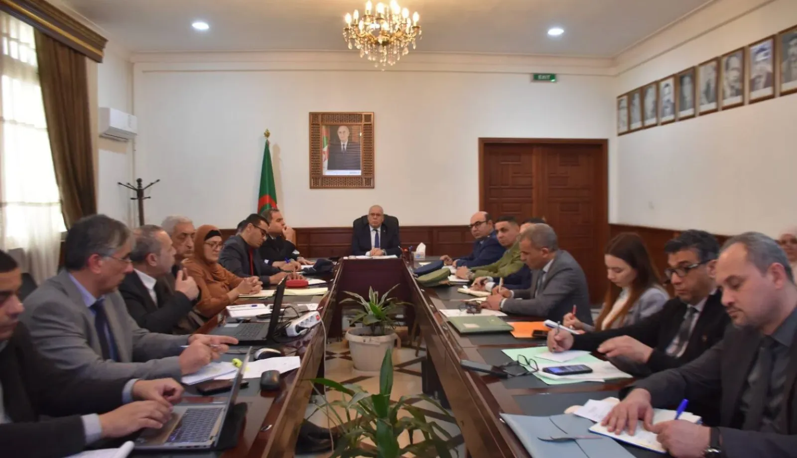 الحكومة تتحرك لمواجهة خطر الجراد في الجنوب الجزائري