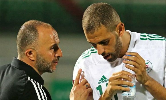 مونديال-2026 (تصفيات): الفيفا تشيد بجمال بلماضي واسلام سليماني