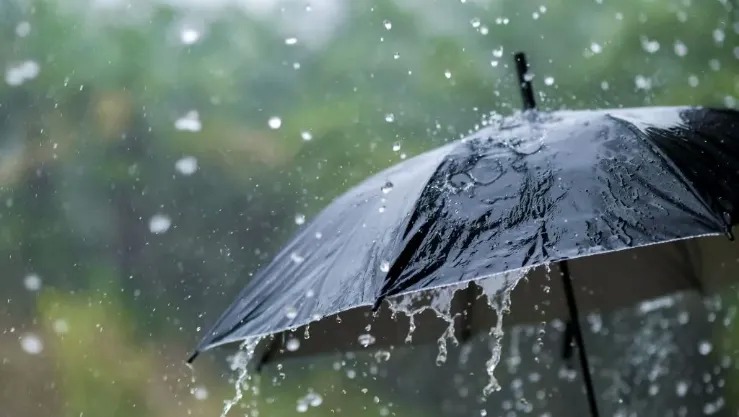 أمطار رعدية مرتقبة عبر 29 ولاية اليوم