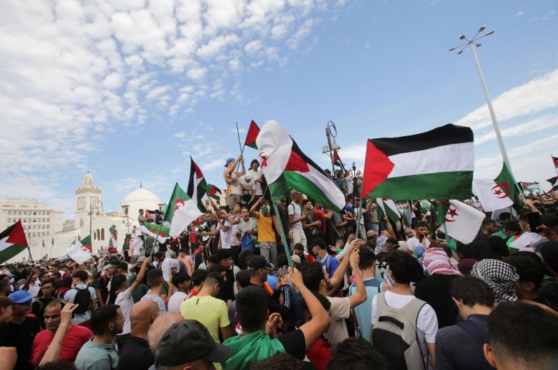 الثورة الجزائرية هي الملهم الأول للمقاومة الفلسطينية والصحراوية ضد الاحتلال