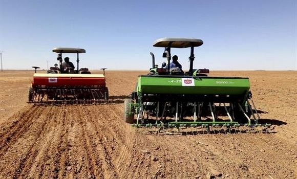 حملة الحرث و البذر 2023-2024 تجري في “ظروف حسنة” بفضل التدابير التي أقرها رئيس الجمهورية
