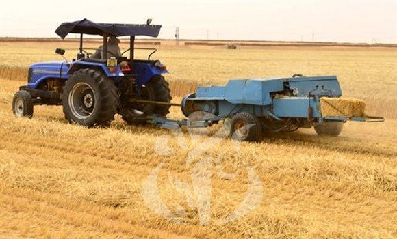 التوجه نحو الزراعة الصحراوية بإقحام الجنوب في الإنتاج الفلاحي كخيار استراتيجي