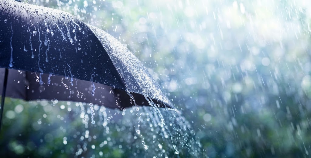 أمطار رعدية مرتقبة عبر 29 ولاية اليوم