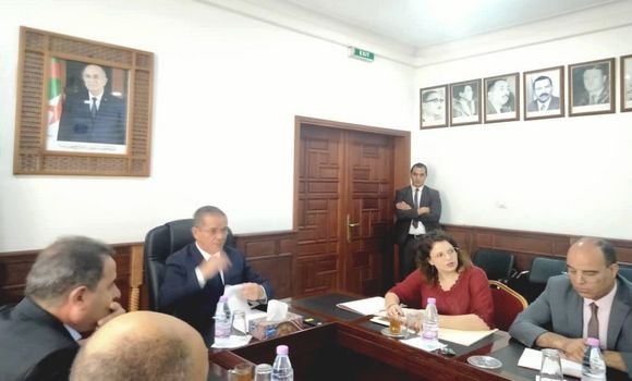 فلاحة: الجزائر تحضر لمشاركتها في إكسبو الدوحة 2023 للبستنة