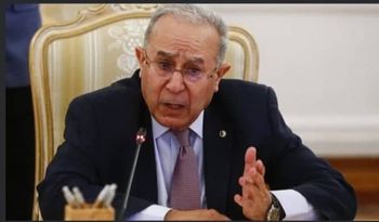 وزير الشؤون الخارجية يشارك في مجموعة الإتصال العربية
