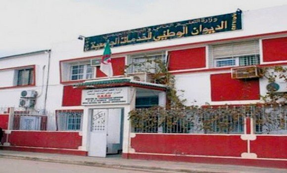 تعليم عالي: نحو إعادة النظر في الهيكل التنظيمي للديوان الوطني للخدمات الجامعية