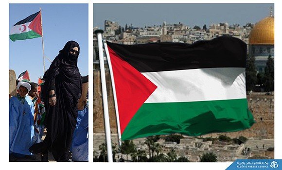 سفيرا فلسطين والصحراء الغربية يشيدان بموقف الجزائر الداعم للقضيتين العادلتين الفلسطينية والصحراوية