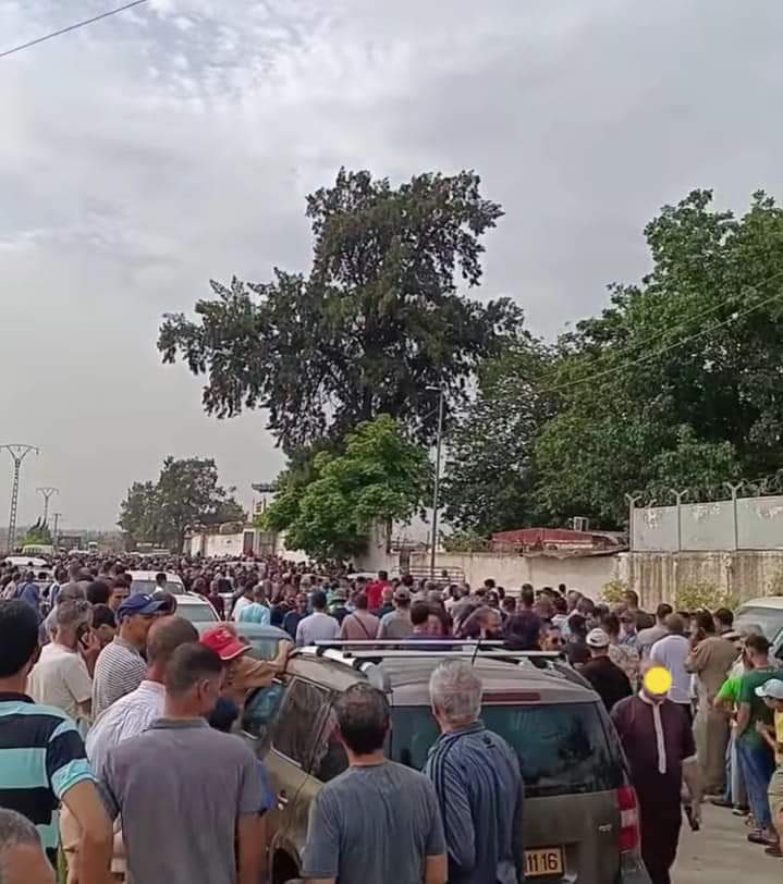 اقبال وازدحام كبير على نقاط بيع اضحية العيد ببئر توتة 