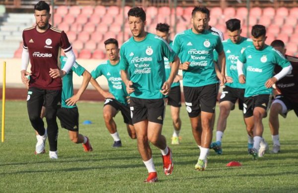 إختبار جدي لأشبال بوقرة