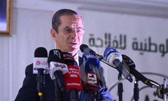 فلاحة : برنامج لغرس مليون نخلة ابتداء من الموسم 2023-2024