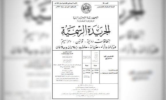 صدور مرسوم رئاسي يتضمن القانون الأساسي للفنان