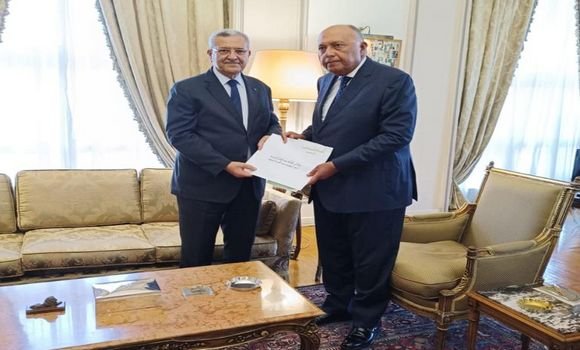 سفير الجزائر بالقاهرة يستقبل من طرف وزير الخارجية المصري